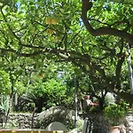Nautilus Hotel Capri
