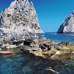 Nautilus Capri