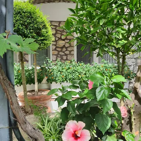 Nautilus 호텔 카프리