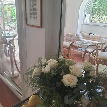 Nautilus 3* קאפרי