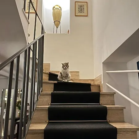 호텔 Nautilus 카프리