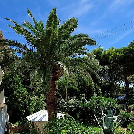 Hotel Nautilus 3*