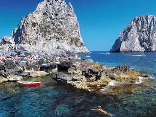 Nautilus Capri