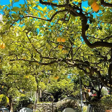 Nautilus Hotel Capri